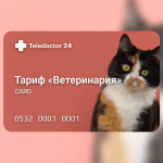 TeleDoctor24. Тариф "Ветеринария" TeleDoctor24. Тариф "Ветеринария"