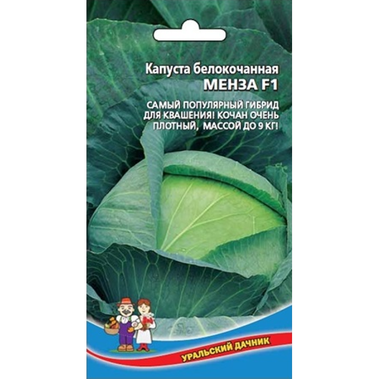 Капуста Менза белокочанная F1 Капуста Менза белокочанная F1