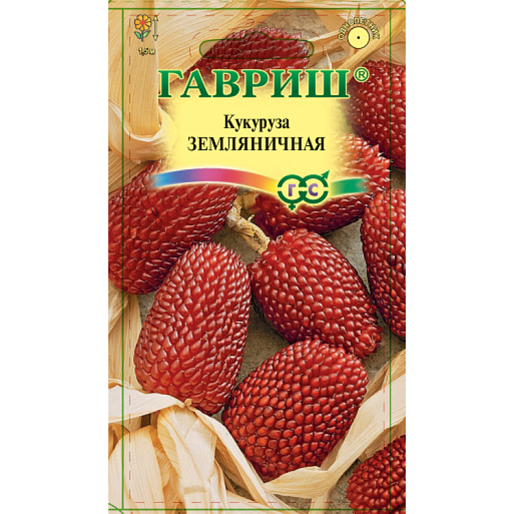 Кукуруза Земляничная Кукуруза Земляничная