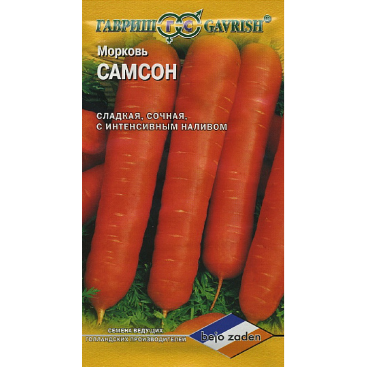 Морковь Самсон Морковь Самсон