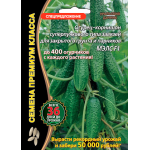 Морковь Сентябрина Морковь Сентябрина