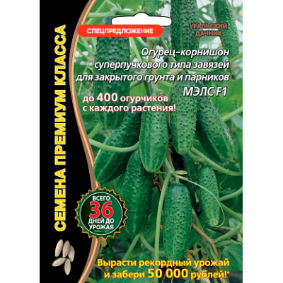 Морковь Сентябрина