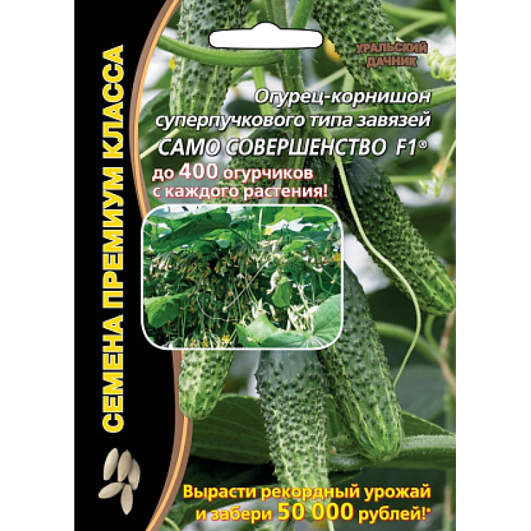 Огурец Само совершенство корнишон F1 Огурец Само совершенство корнишон F1