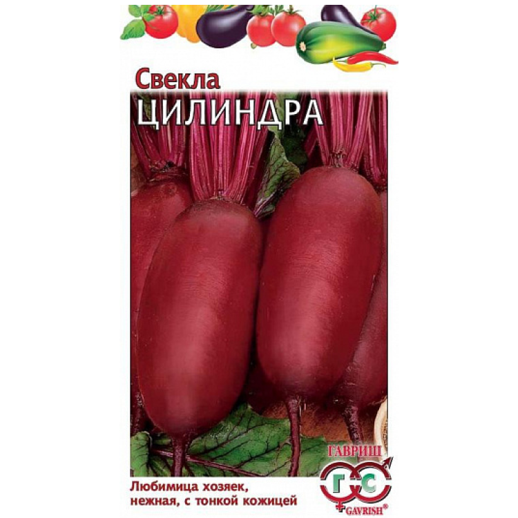 Свекла Цилиндра 