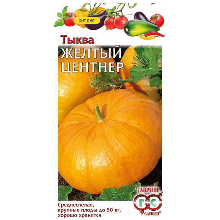 Тыква Жёлтый центнер Тыква Жёлтый центнер