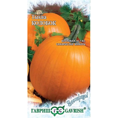 Тыква Колобок