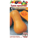 Тыква Жемчужина мускатная Тыква Жемчужина мускатная