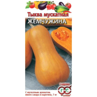 Тыква Жемчужина мускатная