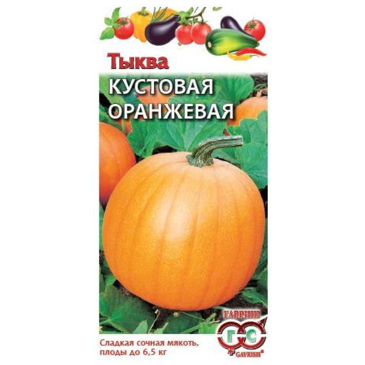 Тыква оранжевая Кустовая 