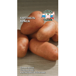 Картофель Краса Картофель Краса