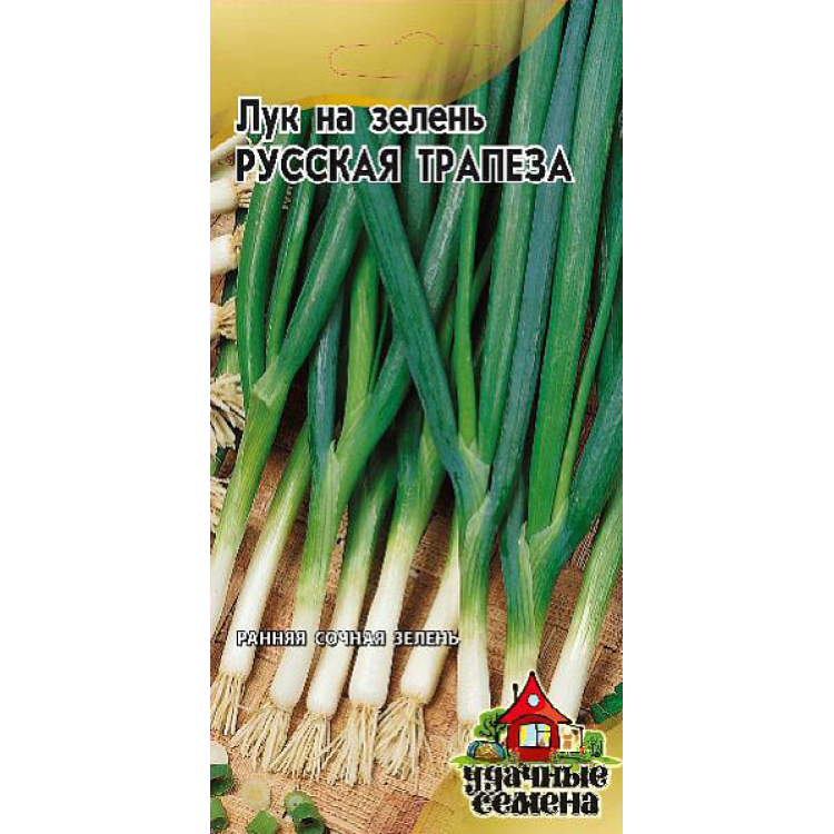 Лук Русская трапеза на зелень семена Лук Русская трапеза на зелень семена