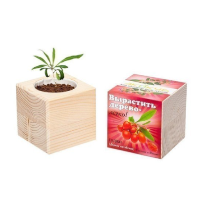 Экокуб "Годжи" (сувенирный семенной материал)