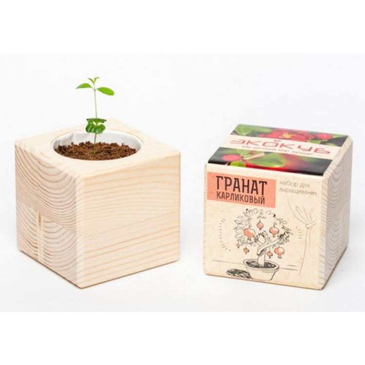 Экокуб "Гранат" (сувенирный семенной материал) Экокуб "Гранат" (сувенирный семенной материал)