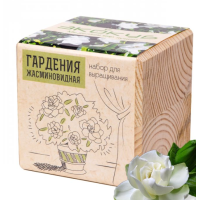 Экокуб "Гард��ния" (сувенирный семенной материал)