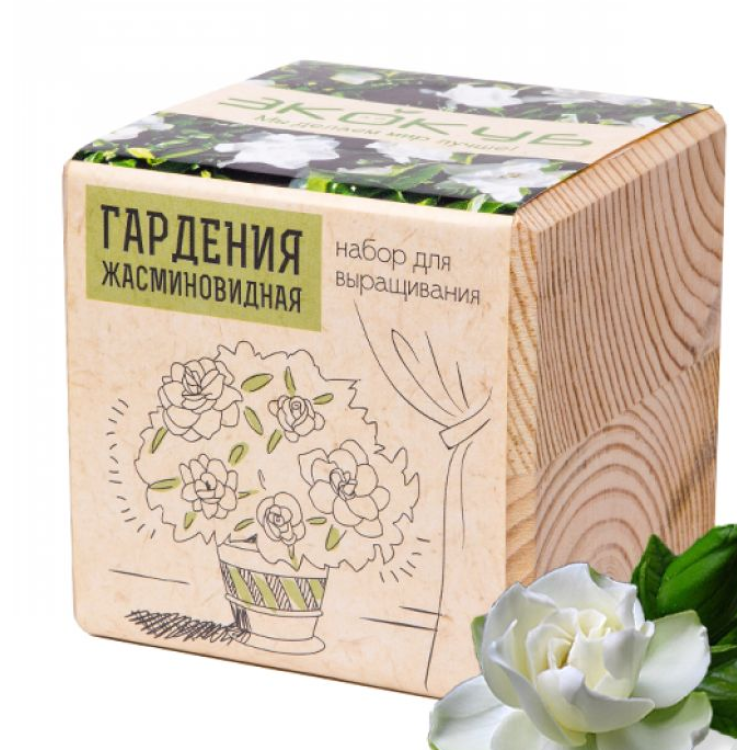 Экокуб "Гард��ния" (сувенирный семенной материал) 