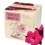 Экокуб "Гибискус" (сувенирный семенной материал) Экокуб "Гибискус" (сувенирный семенной материал)