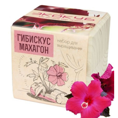 Экокуб "Гибискус" (сувенирный семенной материал) 