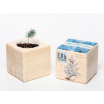 Экокуб "Ель" (сувенирный семенной материал) Экокуб "Ель" (сувенирный семенной материал)