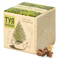 Экокуб "Туя" (сувенирный семенной материал)