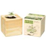 Экокуб "Лиственница" (сувенирный семенной материал) Экокуб "Лиственница" (сувенирный семенной материал)