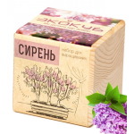 Экокуб "Виноград" (сувенирный семенной материал) Экокуб "Виноград" (сувенирный семенной материал)