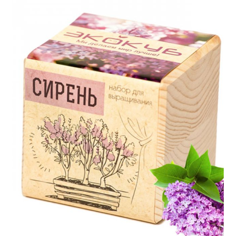 Экокуб "Виноград" (сувенирный семенной материал) Экокуб "Виноград" (сувенирный семенной материал)