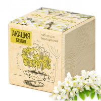 Экокуб "Акация" (сувенирный семенной материал)
