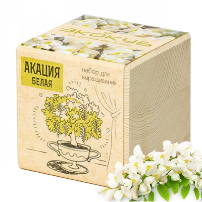 Экокуб "Акация" (сувенирный семенной материал) 