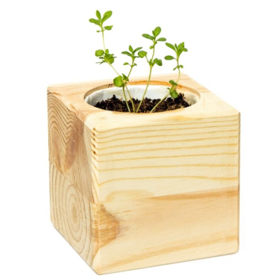 Экокуб "Лаванда" (сувенирный семенной материал)