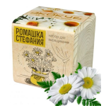 Экокуб "Ромашка" (сувенирный семенной материал) Экокуб "Ромашка" (сувенирный семенной материал)