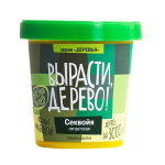 Секвойя гигантская (сувенирный семенной материал) Секвойя гигантская (сувенирный семенной материал)