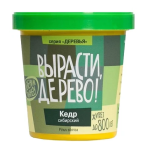 Кедр Сибирский (сувенирный семенной материал) Кедр Сибирский (сувенирный семенной материал)