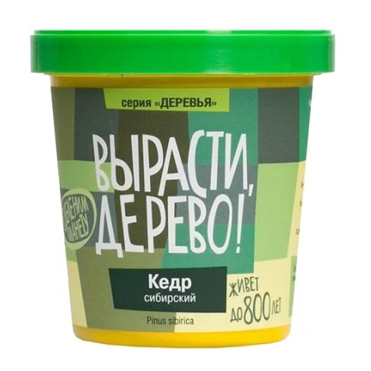 Кедр Сибирский (сувенирный семенной материал) Кедр Сибирский (сувенирный семенной материал)