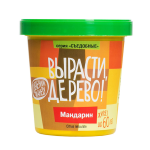 Мандарин (сувенирный семенной материал) Мандарин (сувенирный семенной материал)