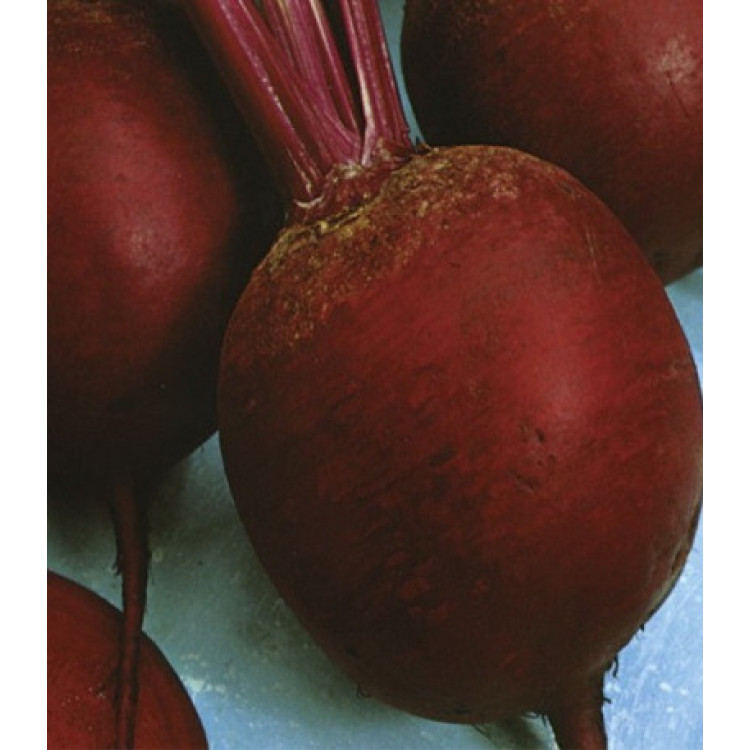 Свекла Червона кула столовая Свекла Червона кула столовая