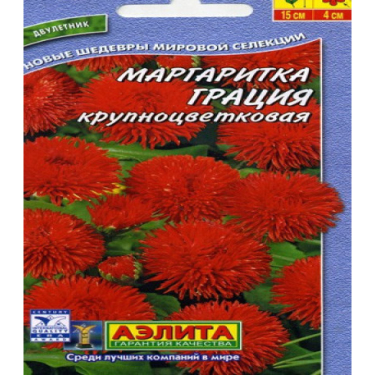 Маргаритка Грация крупноцветковая Маргаритка Грация крупноцветковая