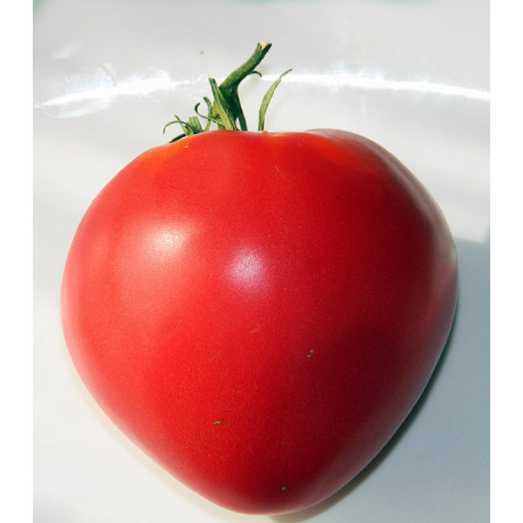 Томат Батяня Томат Батяня