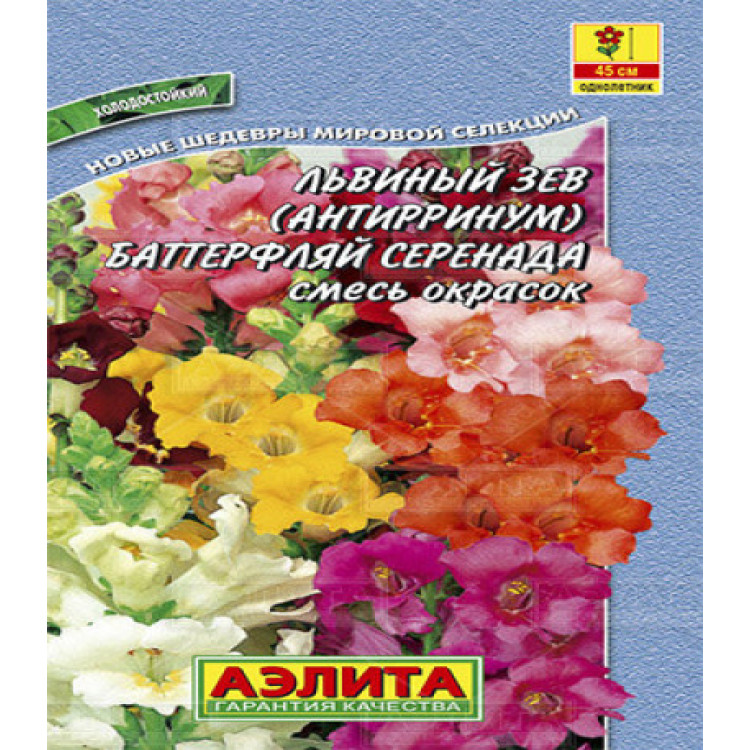 Львиный зев Баттерфляй серенада смесь окрасок Львиный зев Баттерфляй серенада смесь окрасок