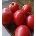 Томат Марьюшка Томат Марьюшка