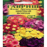 Флокс Друммонди цветной фонтан