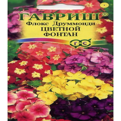 Флокс Друммонди цветной фонтан