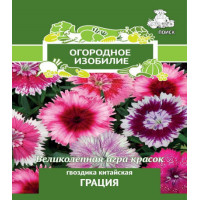 Гвоздика Грация китайская