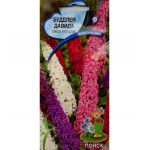 Будлея Давида Смесь окрасок Будлея Давида Смесь окрасок