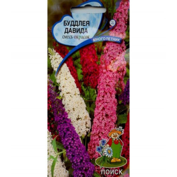 Будлея Давида Смесь окрасок Будлея Давида Смесь окрасок