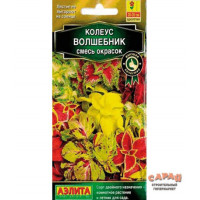 Колеус Волшебник смесь окрасок