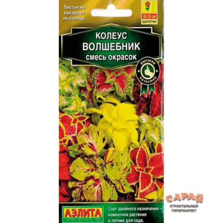 Колеус Волшебник смесь окрасок Колеус Волшебник смесь окрасок