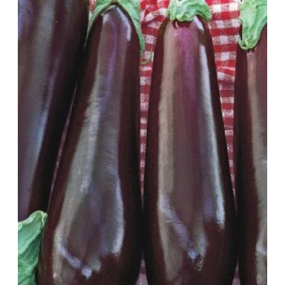 Баклажан Универсал 6