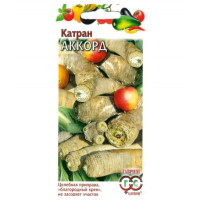 Катран Аккорд