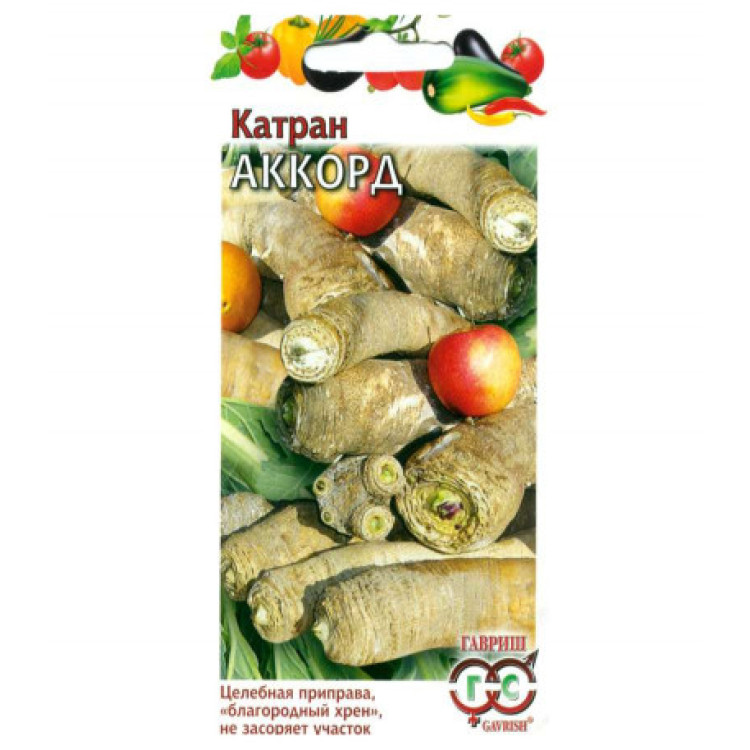 Катран Аккорд Катран Аккорд