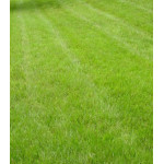 Газон Минипут Газон Минипут